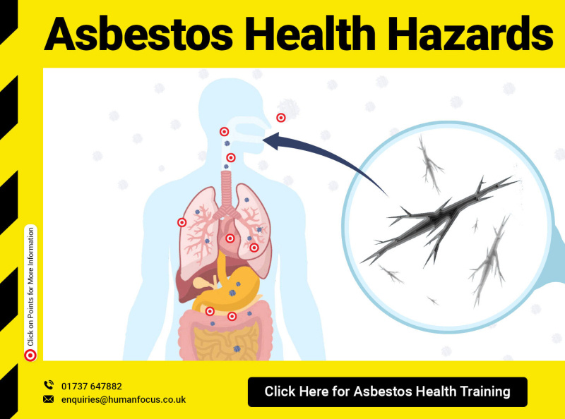 Free Asbestos Health Hazards Infographic by Haider Bakht on Dribbble