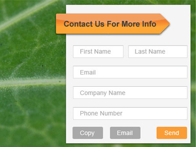Boston Technologies Form contact form