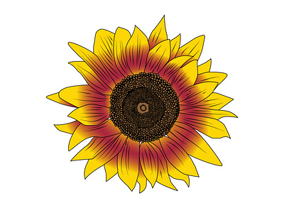 Vector Cartoon Sunflower