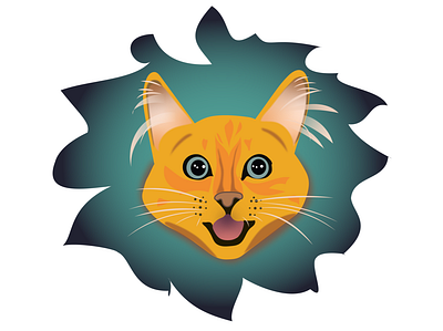 Cat illustration adobe illustrator design graphic design illustration vector