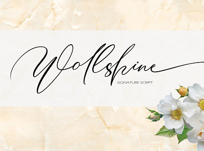 Wollshine calligraphy font custom fonts elegant font handwriting font logo font typography