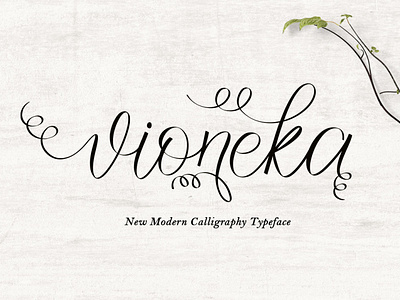 vioneka calligraphy font custom fonts elegant font handwriting font logo font typography vioneka script