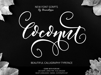 Coconut branding calligraphy font design elegant font font handwrittenfont illustration logo logo font scriptfont typography