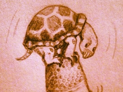 Tiny Turtle Balancing on a Thimble ilustration turtle