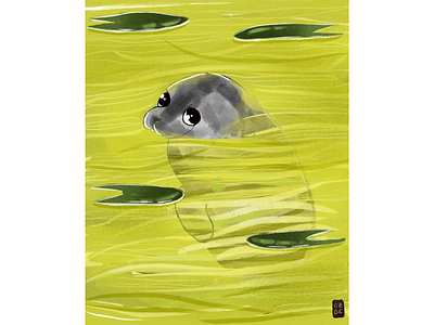 Monk Seal animal illustration children book digital painting illustration