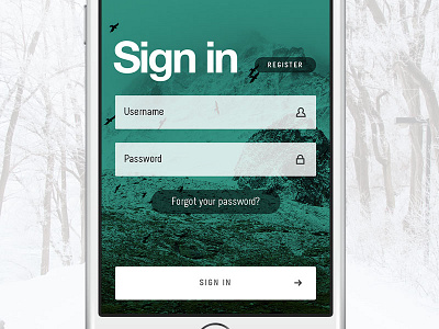 Login Form