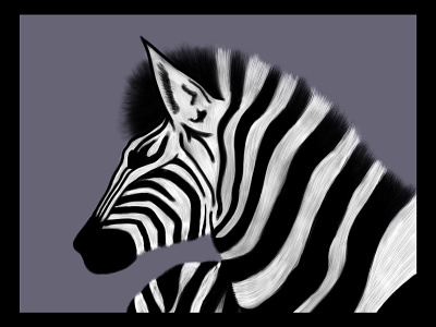 Zebra 🦓 adobe photoshop animal animal art animal illustration artwork black and white digital art digital design digital painting dribbble illustration minimal zebra