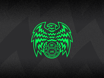 Super Eagles branding design football graphic design identity illustration illustrator logo soccer sportslogo vector