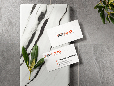 Business card branding design graphic design typography vector