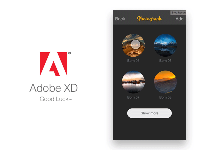 Adobe XD v0.5 adobe interactive