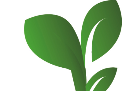 LOGO Natural Leaf Logo branding cpmpanylogo design graphic design illustration leaflogo logo vector