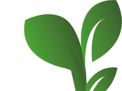 LOGO
Natural Leaf Logo