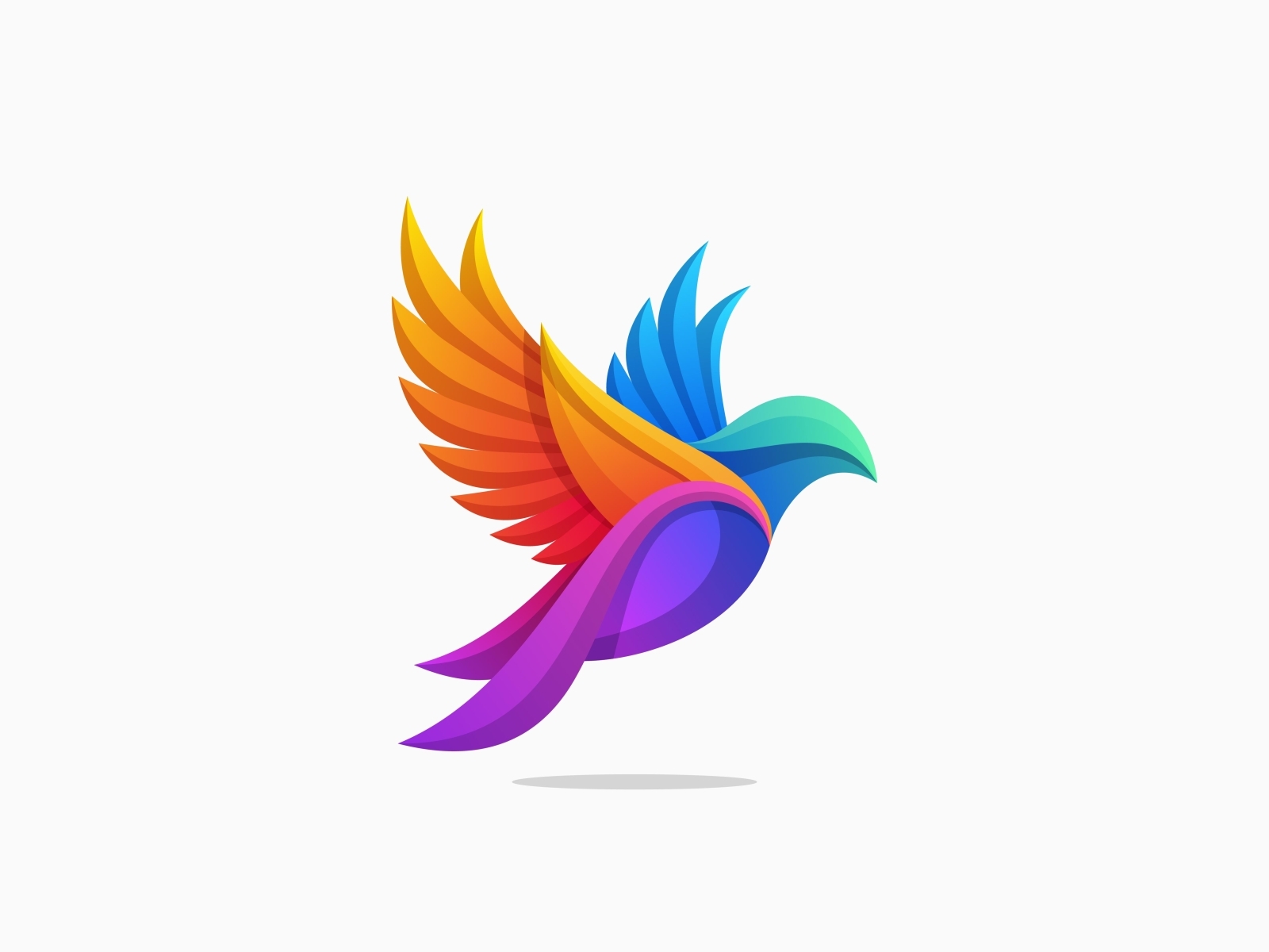 bird-colorful-concept-illustration by Logo Aim on Dribbble