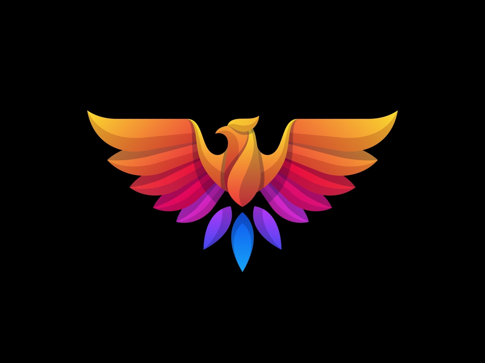 eagle colorful designs illustration vector template by Logo Aim on Dribbble