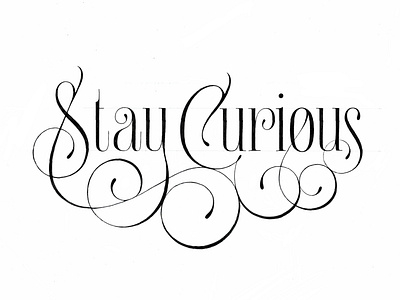 Stay Curious Sketch branding calligraphy design flourishes font font logo graphic design hand lettering hand lettering illustration lettering logo logotype sketch vector wordmark