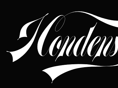 I Condense A Lot Lettering sneak peek branding calligraphy design hand lettering illustration lettering logo logotype wordmark