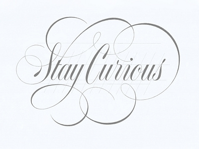 Stay Curious Lettering sketch branding calligraphy design flourish flourishes graphic design hand lettering identity illustration letterform lettering logo logotype script script font tyde design type typeface typography wordmark