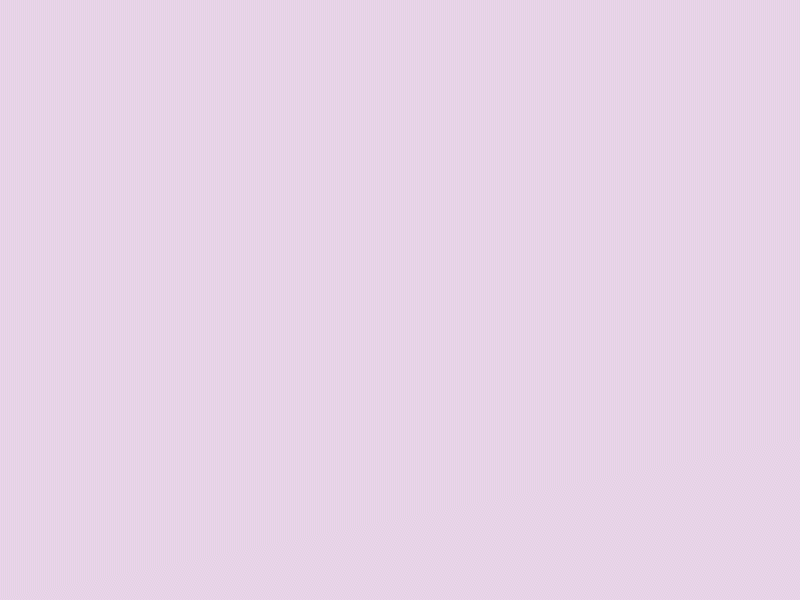 Animated Gif 2d animated gif animation colorful gif motion motion graphic purple