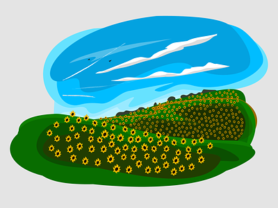 Sunflowers 🌻 blue clouds fields green landscape sky sunflowers yellow