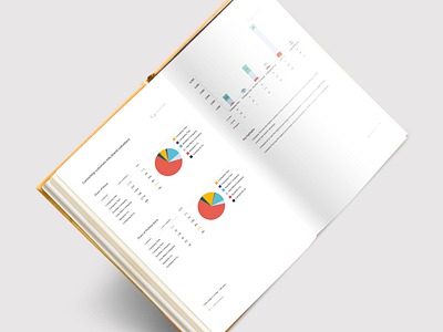 Brand Stats Book 📊 /  Digit Insurance