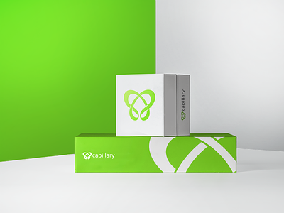 🎁 Capillary Technologies Goodie Boxes 🎁 3d bag bag mockup capillary color design freebies gift goodie goodies green logo presents swag