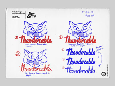Theodorable Pet Photo logo case study page art branding cat design dog logo pet wip
