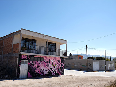 The Guardian art design jaguar mural street art
