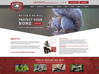 Buckeye Wildlife Solutions Website Design animals buckeye extermination exterminator pest wildlife
