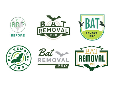 Bat Removal Pro Logo Ideas badge bat bat logo bats bug crest home house pest