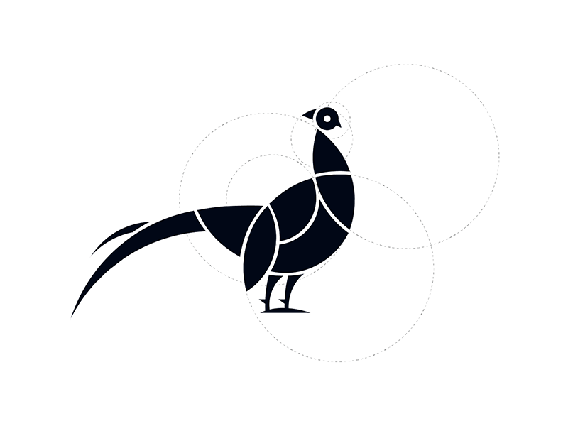 Pheasant spirit logo bird pheasant