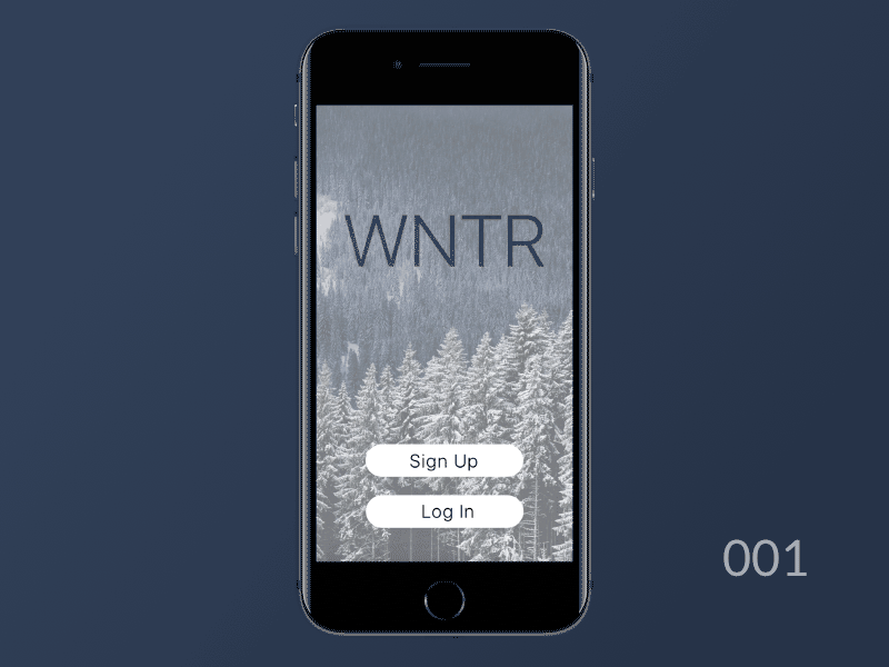 WINTR — Starting the year with the Daily UI Challenge animation daily ui gif principle sign in sign up sketch ui design ux design winter