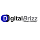 DigitalBrizz IT Company