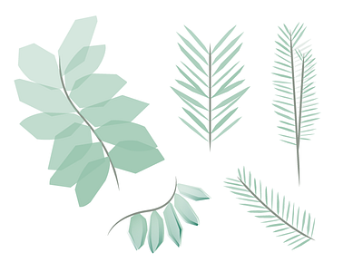 Leaves leaf organic practice vector