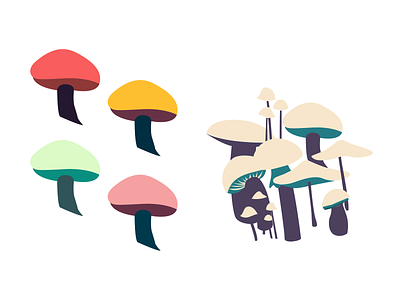Mushrooms - Considered Palettes