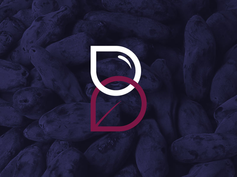Befresh Brand Identity - Icon brand identity logo design lifestyle healthy berry berries farming vector branding brand icon logo