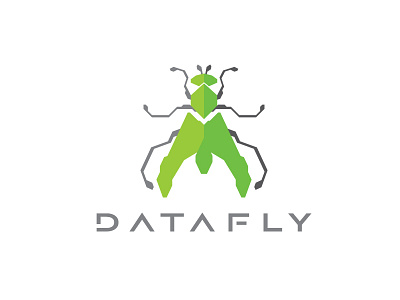 Datafly circuit data digit digital flies fly info