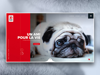 30 millions d'amis animal clean dog flat homepage red responsive simple ui ux website