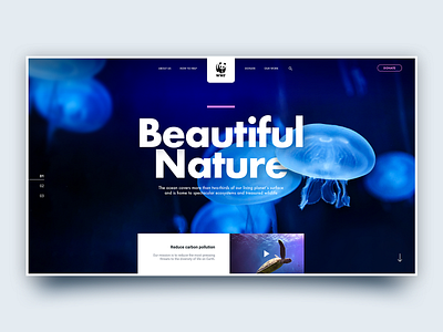 wwf adobe xd animal blue clean concept dark homepage nature pink typography ui ux website
