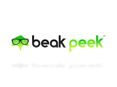 Beak Peek On Dribbble beak peek kiwi new new zealand player startup
