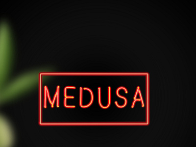 Medusa Bar branding graphic design marketing