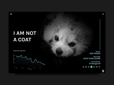 Analytics Chart analytics chart app dailyui design red panda ui ux web wild