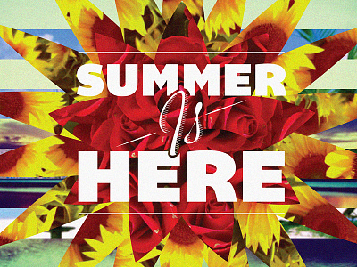 Summer Is Here colour design flowers graphics here is summer type