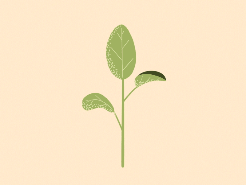 Plant Wiggle animation dance green leaf leaves life loop plant procreate texture wave