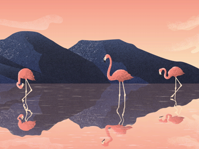 Flamingos Island birds flamingos illustration island mountains pink reflection sunset water