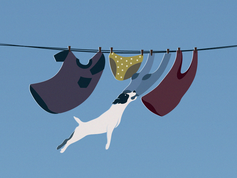 Clothesline illustration vector dog jackrussell t-shirt pants underwear socks sock top laundry hanging pegs wind windy clothesline