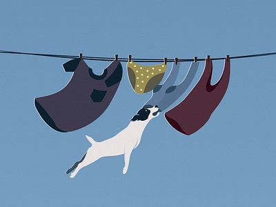 Clothesline clothesline dog hanging illustration jackrussell laundry pants pegs sock socks t shirt top underwear vector wind windy