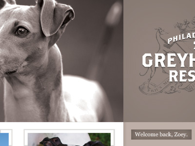 Greys brown grey greyhound webdesign