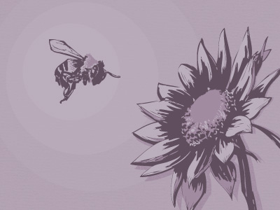 Symbiotic 3 hour rule bee cognition flower illustration purple relationship