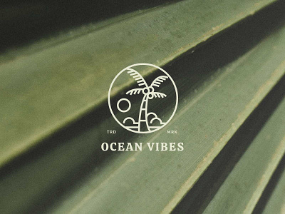 Ocean Vibes Logo badge badge logo badges botanical botanical illustration botanical logo brand line art logo lineart logo retro vintage badge