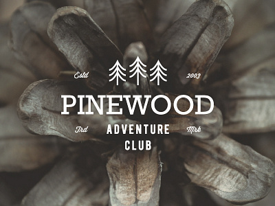 Pinewood Badge / Logo adventure badge camp culture folk hipster logo nature retro summer vintage